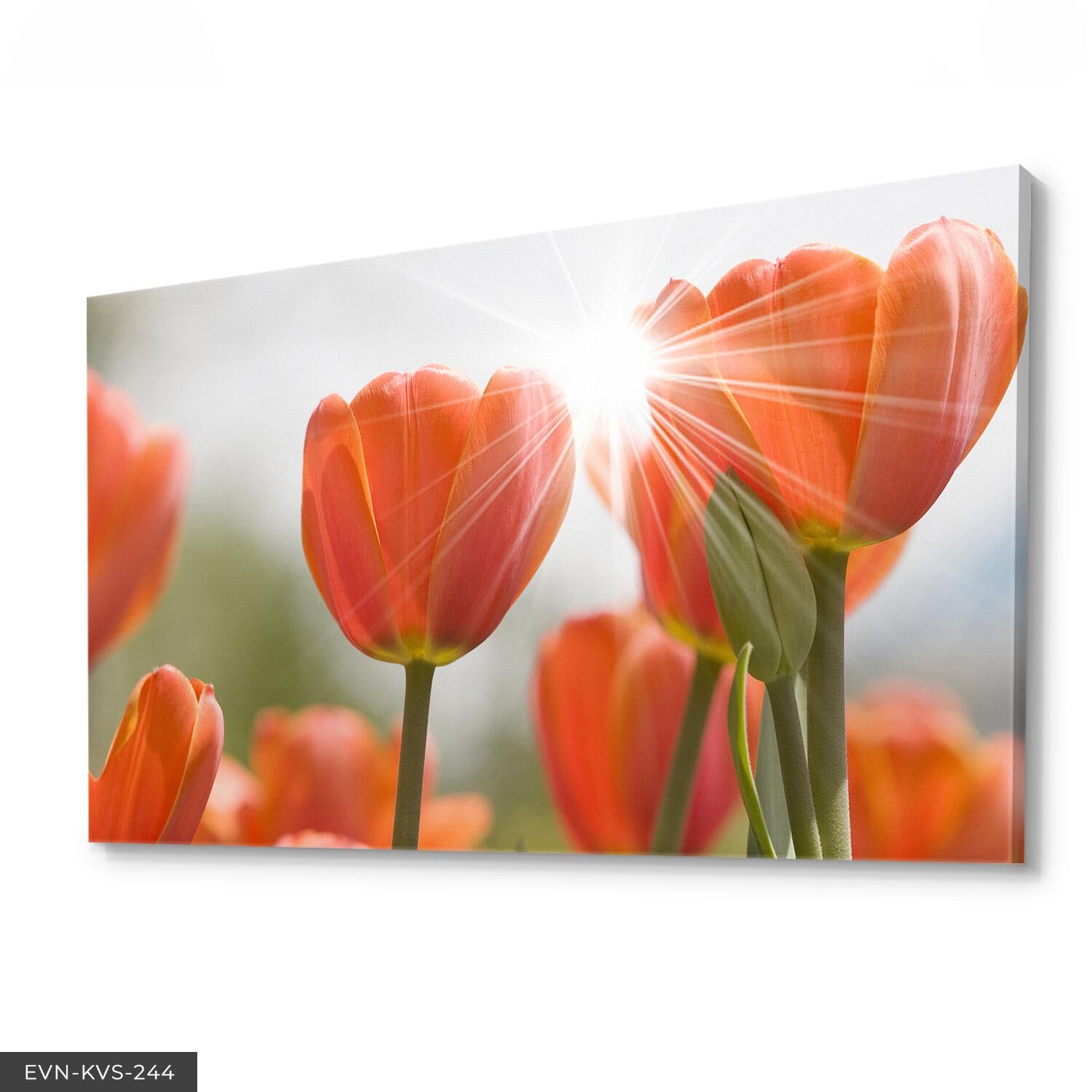 Lale Tek Parça Kanvas Canvas Tablo 40 x 30 CM - Çok Renkli