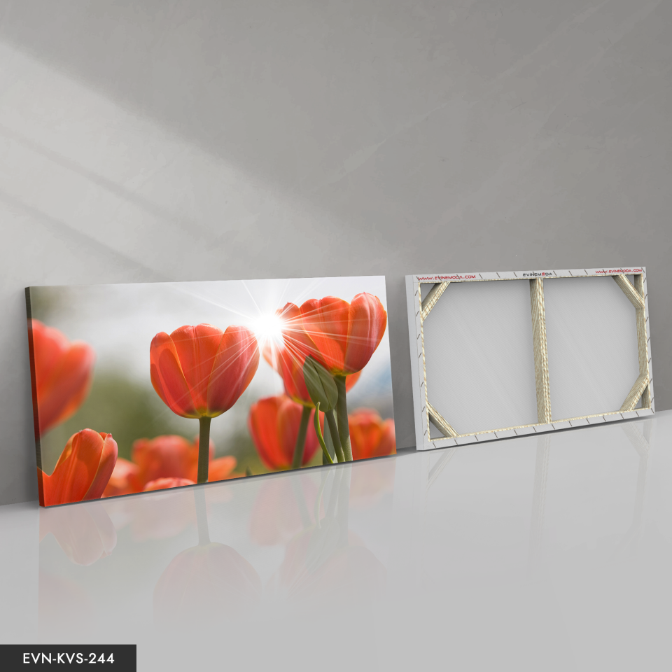 Lale Tek Parça Kanvas Canvas Tablo