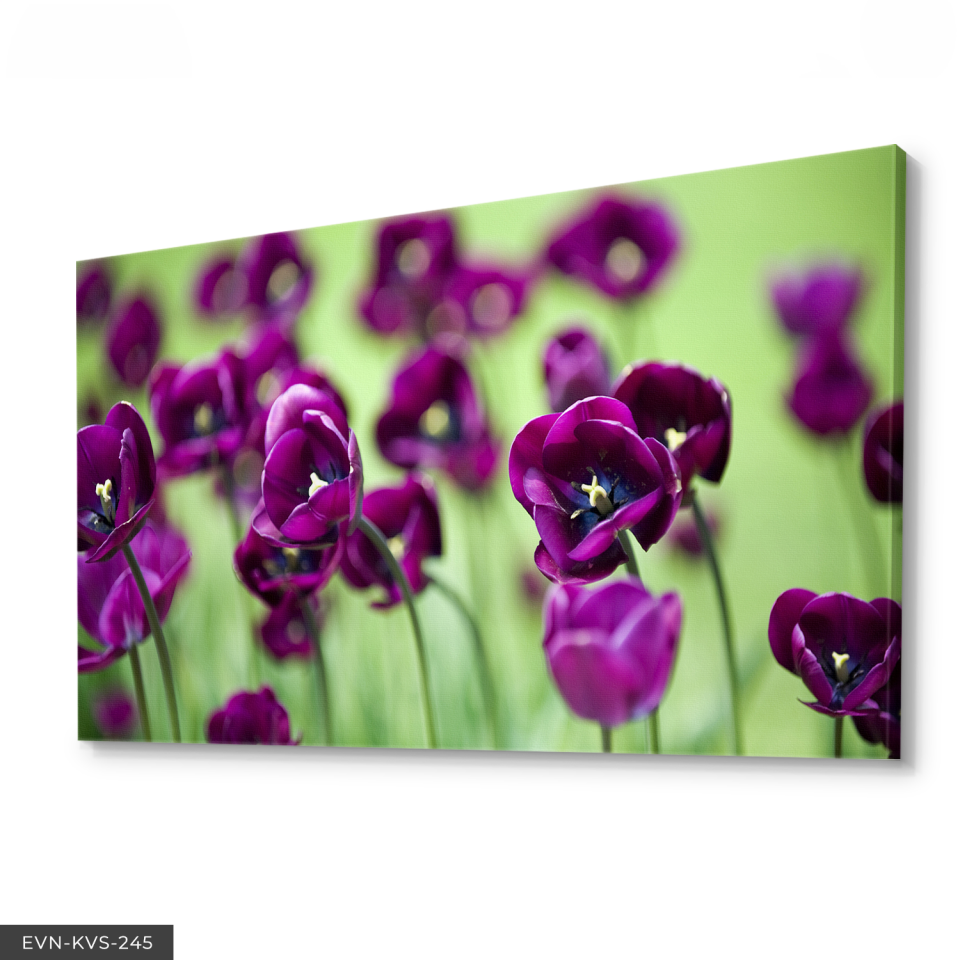 Mor Çiçek Tek Parça Kanvas Canvas Tablo