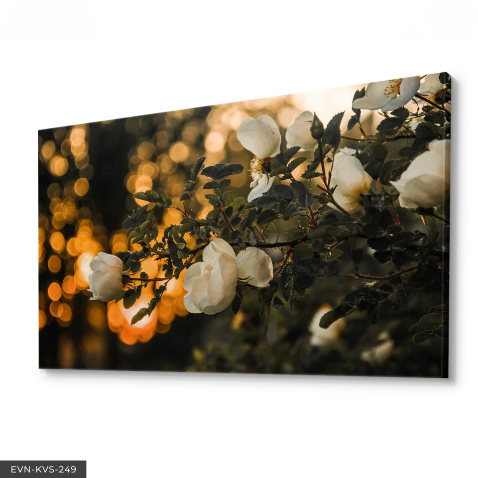 Çiçek Tek Parça Kanvas Canvas Tablo