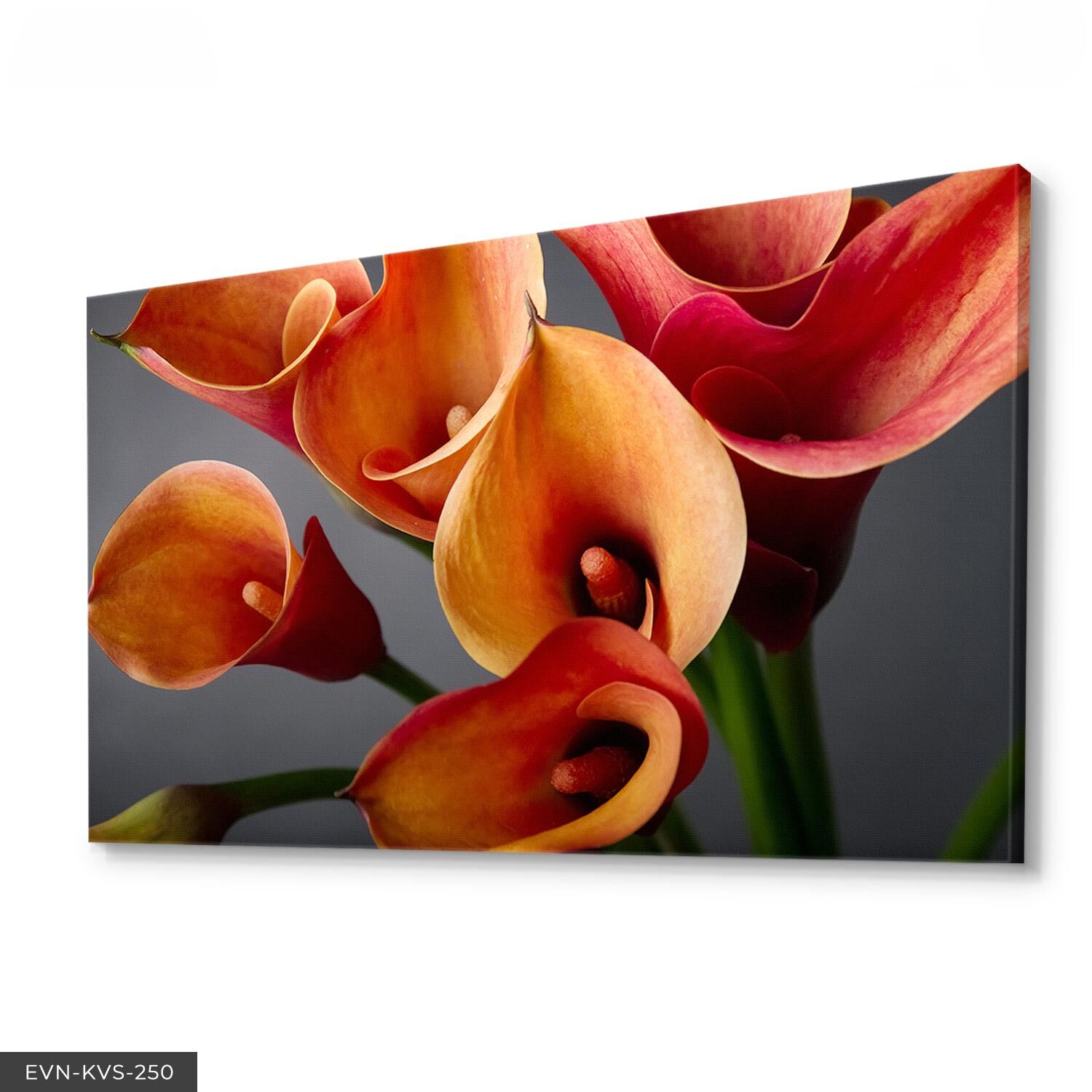 Gala Çiçeği Tek Parça Kanvas Canvas Tablo 40 x 30 CM - Çok Renkli