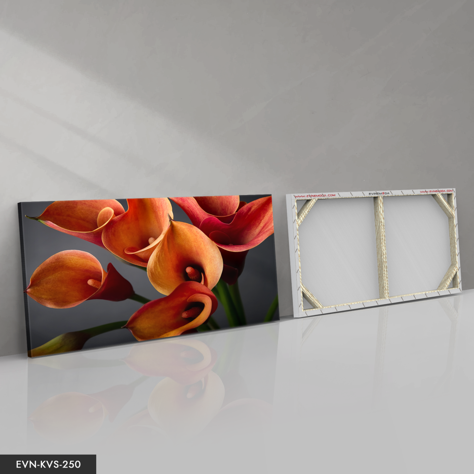 Gala Çiçeği Tek Parça Kanvas Canvas Tablo