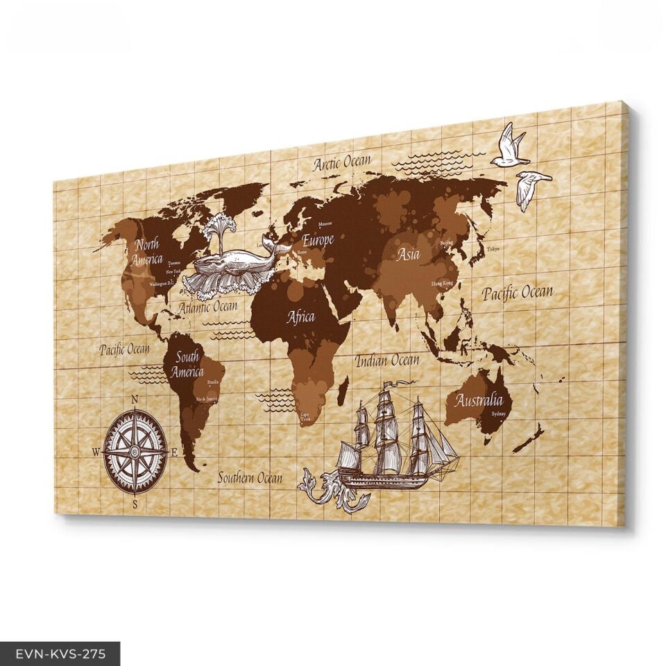 Dünya Haritası Tek Parça Kanvas Canvas Tablo