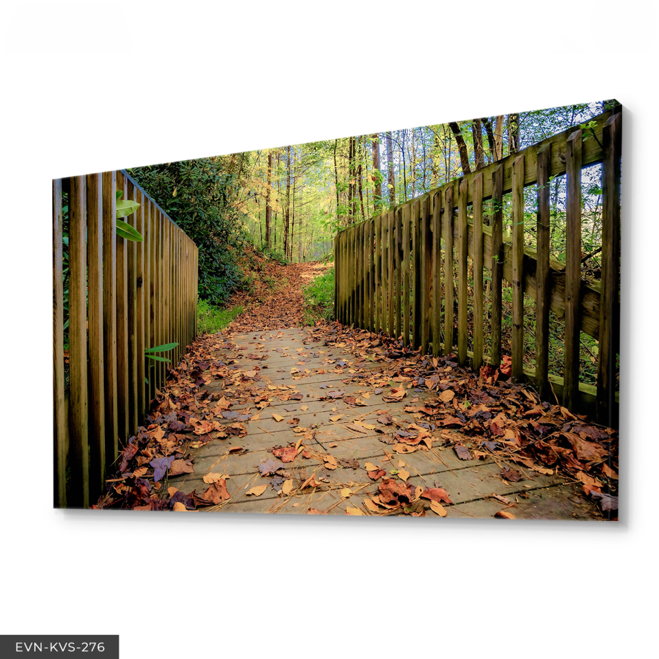 Orman Yolu Tek Parça Kanvas Canvas Tablo 40 x 30 CM - Çok Renkli