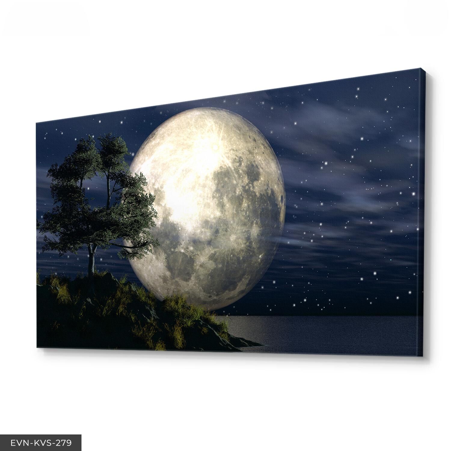 Ay Manzarası Tek Parça Kanvas Canvas Tablo