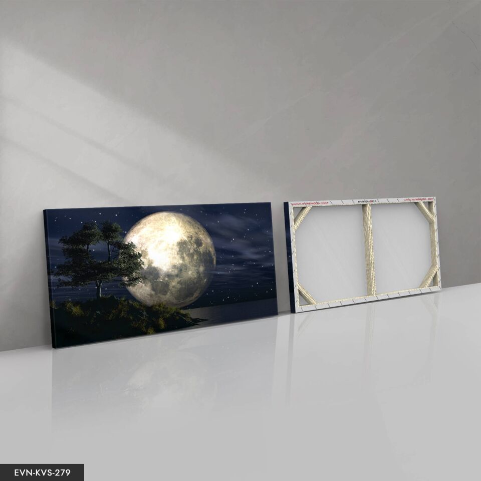 Ay Manzarası Tek Parça Kanvas Canvas Tablo