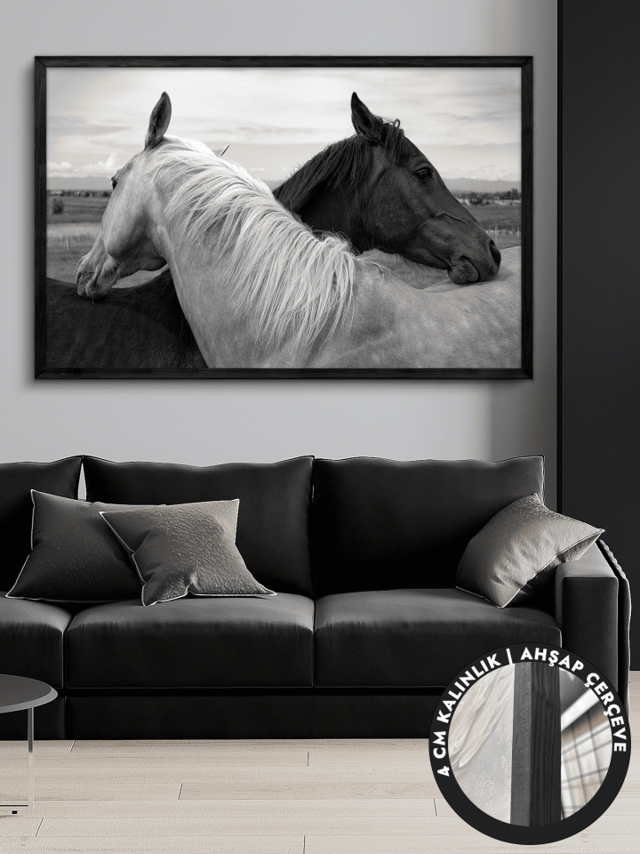 Siyah Beyaz At Tek Parça Siyah Çerçeveli Kanvas - Canvas Tablo 48x68 CM