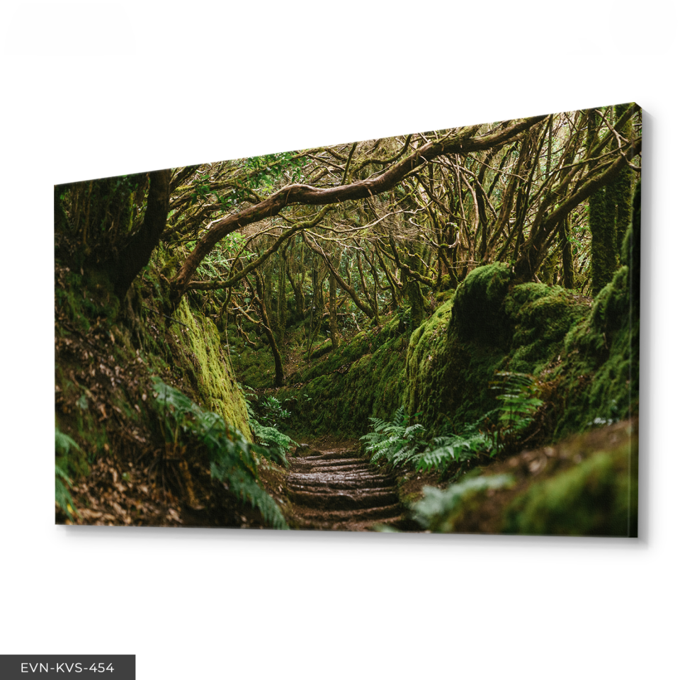 Orman Yolu Tek Parça Kanvas - Canvas Tablo 140 x 90 CM - Çok Renkli