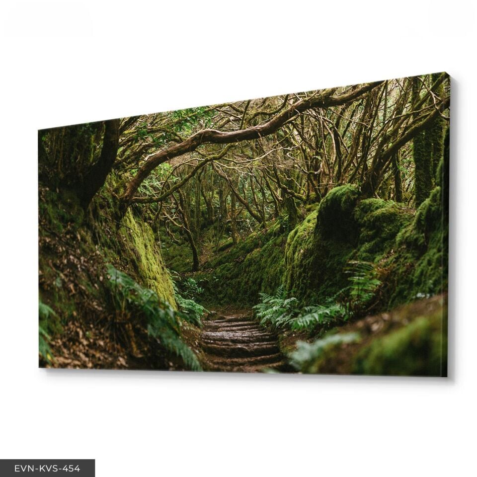 Orman Yolu Tek Parça Kanvas - Canvas Tablo