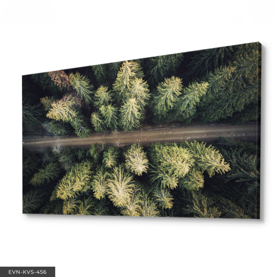 Orman Yolu Tek Parça Kanvas - Canvas Tablo 140 x 90 CM - Çok Renkli