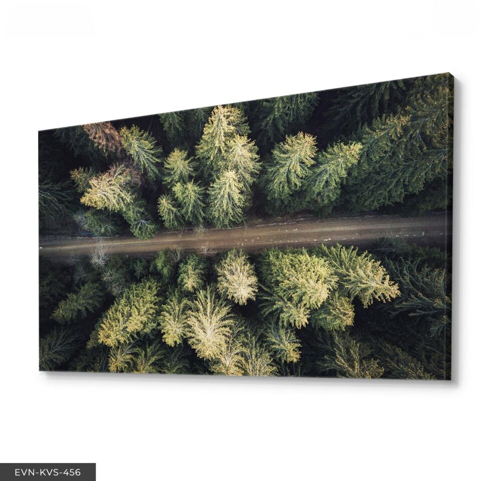 Orman Yolu Tek Parça Kanvas - Canvas Tablo
