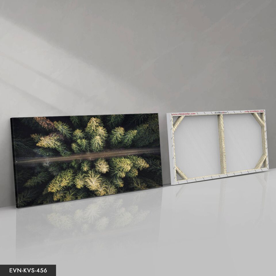 Orman Yolu Tek Parça Kanvas - Canvas Tablo