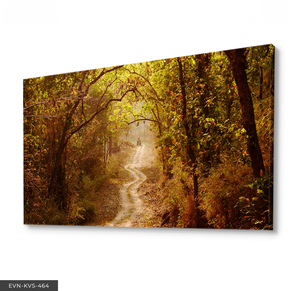 Orman Yolu Tek Parça Kanvas - Canvas Tablo 140 x 90 CM - Çok Renkli