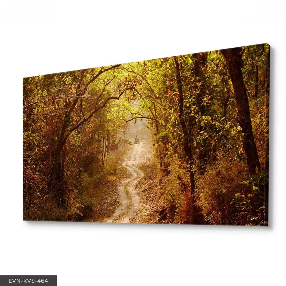 Orman Yolu Tek Parça Kanvas - Canvas Tablo