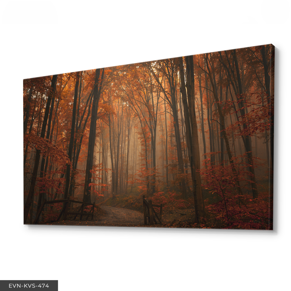 Orman Yolu Tek Parça Kanvas - Canvas Tablo 140 x 90 CM - Çok Renkli