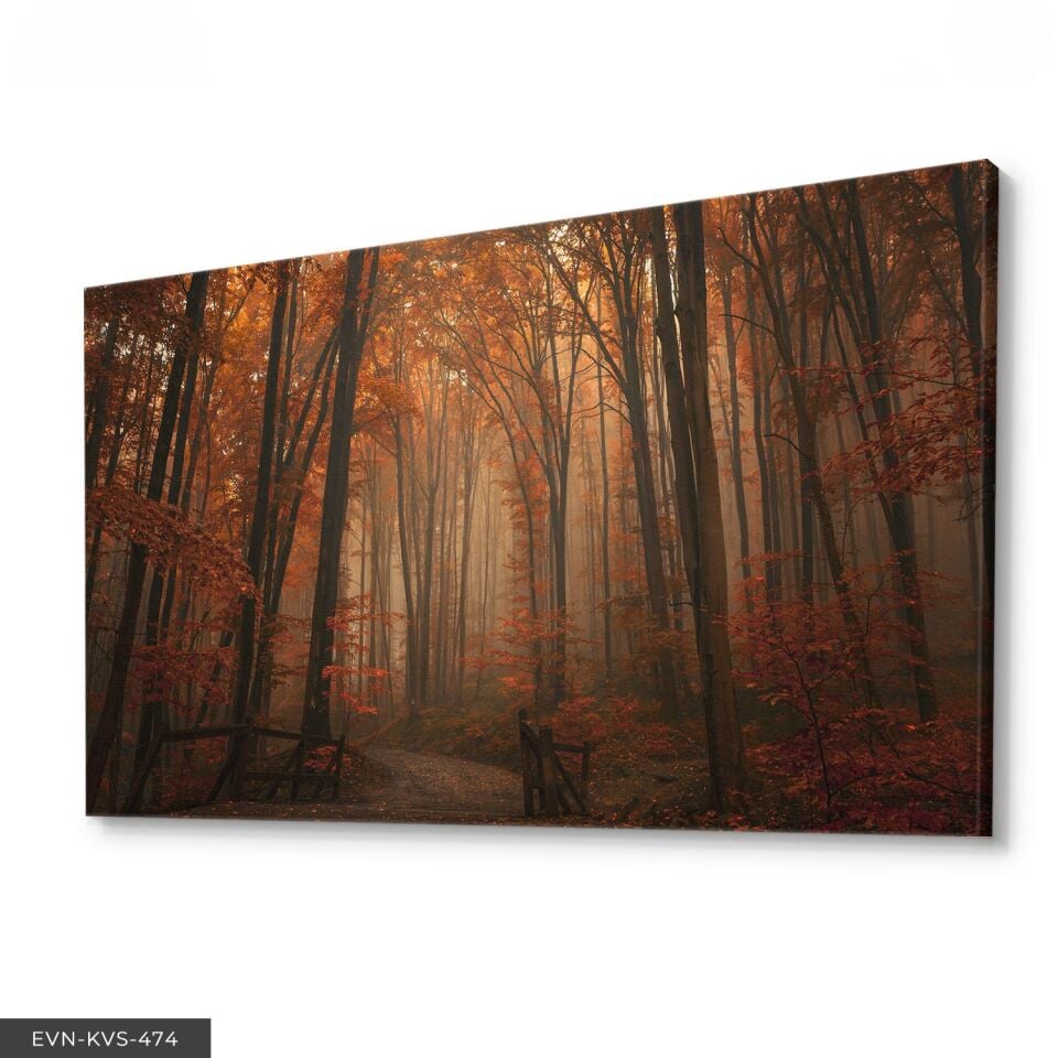 Orman Yolu Tek Parça Kanvas - Canvas Tablo