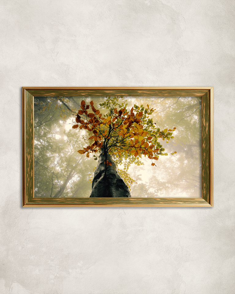 Alçak Ağaç Görüntüsü Premium Çerçeveli Tek Parça Tablo 65X110 cm PRM
