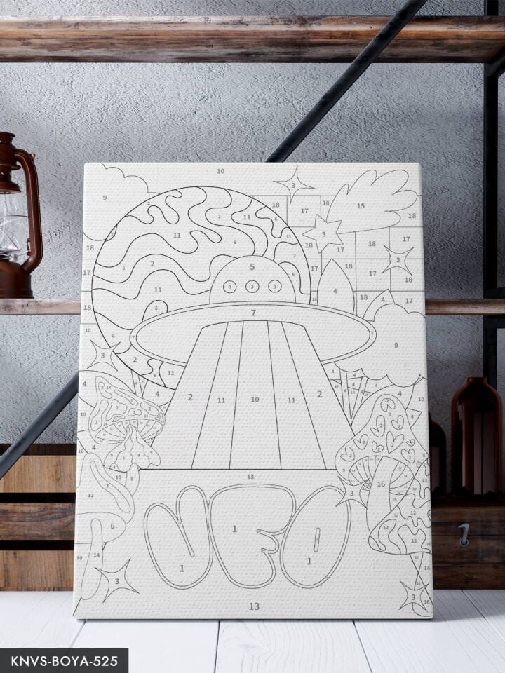 Mantarlar ve Ufo 30x40 CM Sayılarla Boyama Seti