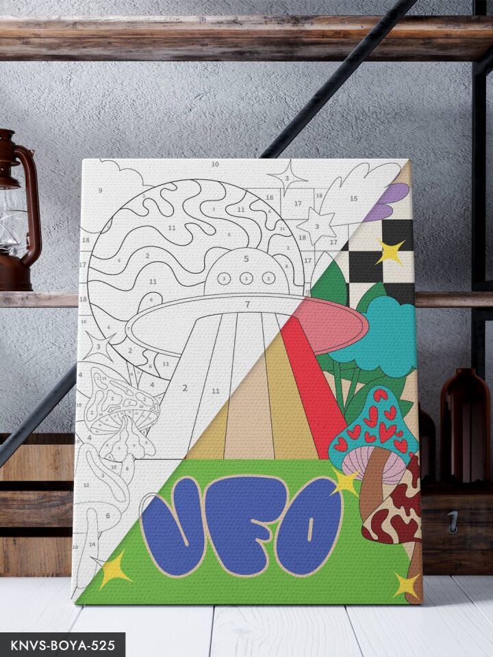 Mantarlar ve Ufo 30x40 CM Sayılarla Boyama Seti