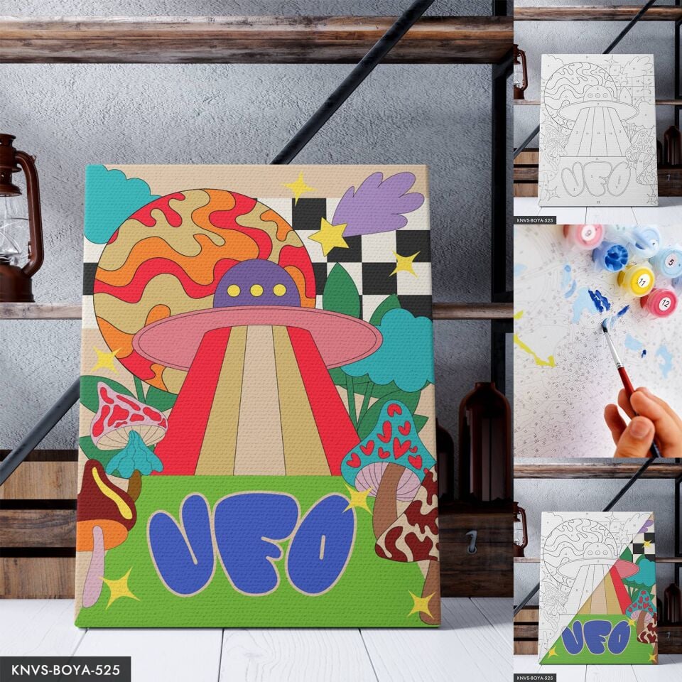 Mantarlar ve Ufo 30x40 CM Sayılarla Boyama Seti