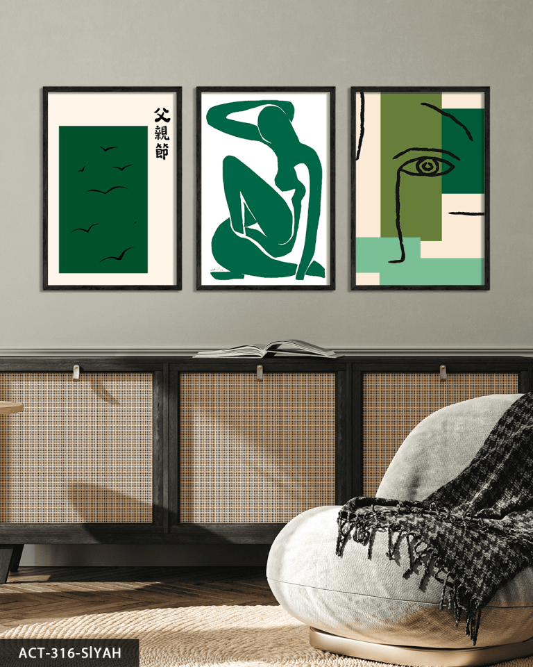 Matisse ve Picasso Tarzı 3 Parça Ahşap Çerçeveli Tablo ACT
