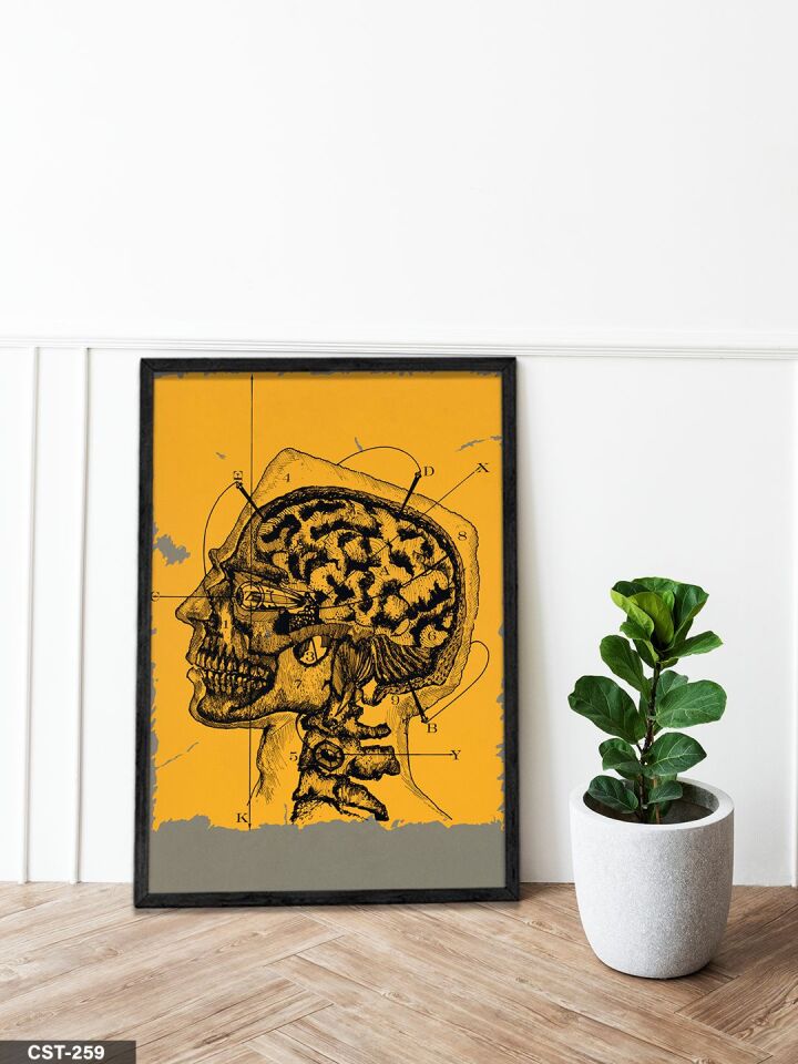 Beynin Anatomisi Tek Parça Ahşap Çerçeveli Tablo Siyah - 40 x 60 CM