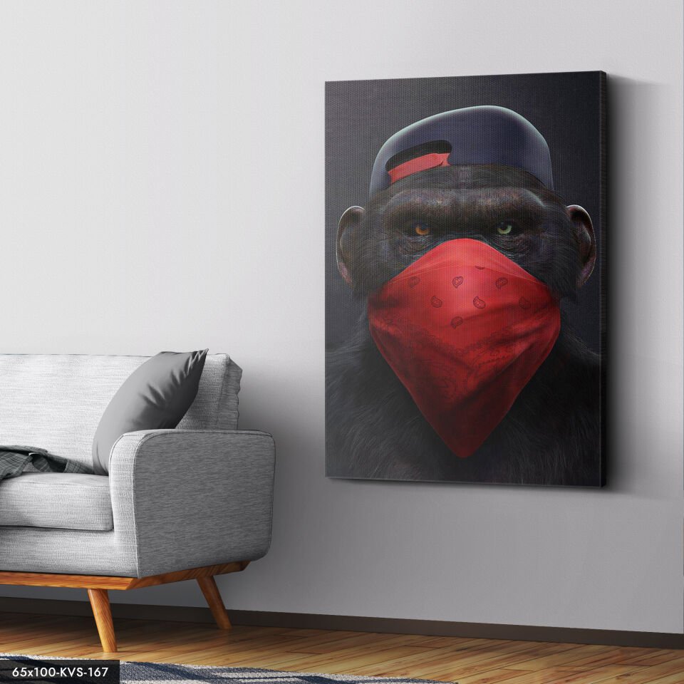 Maymun Kanvas - Canvas Tablo