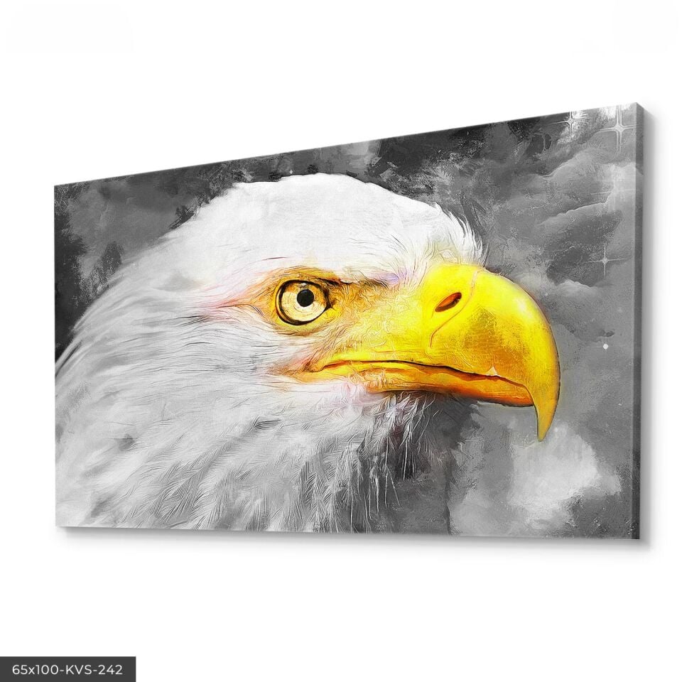 Kartal Kanvas - Canvas Tablo 140 x 90 CM - Çok Renkli
