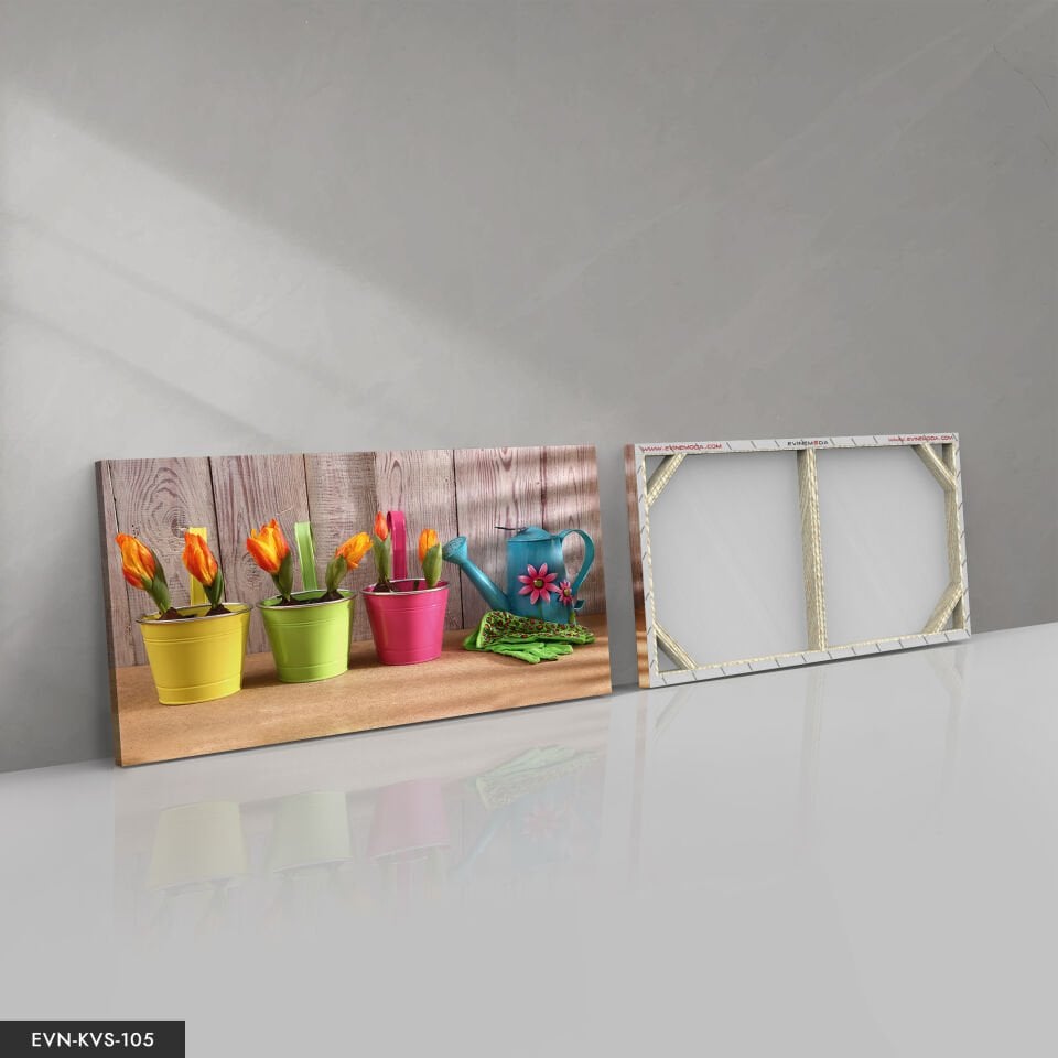 Renkli Saksı Tek Parça Kanvas Canvas Tablo Tablo