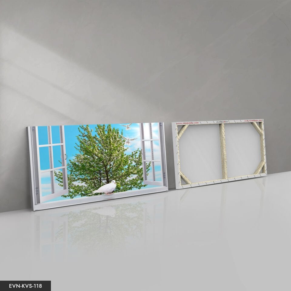 Penceredeki Güvercin Tek Parça Kanvas Canvas Tablo Tablo