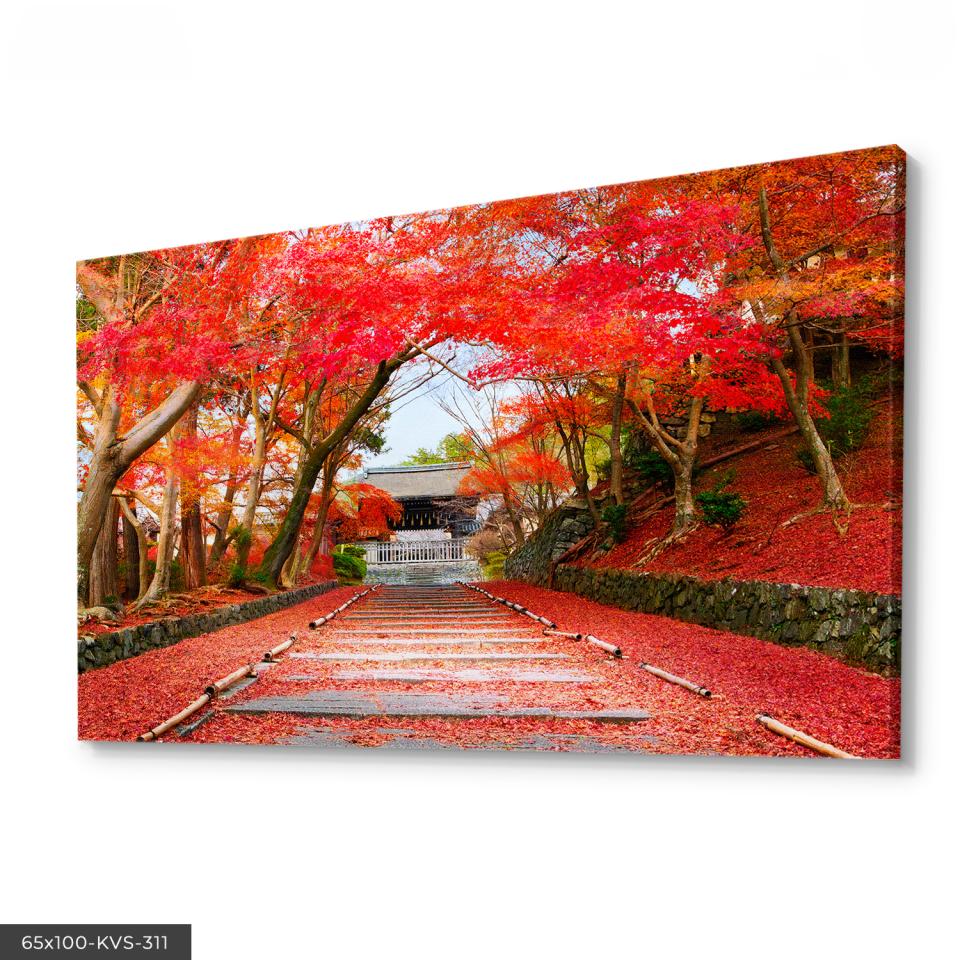 Kırmızı Yol Kanvas - Canvas Tablo