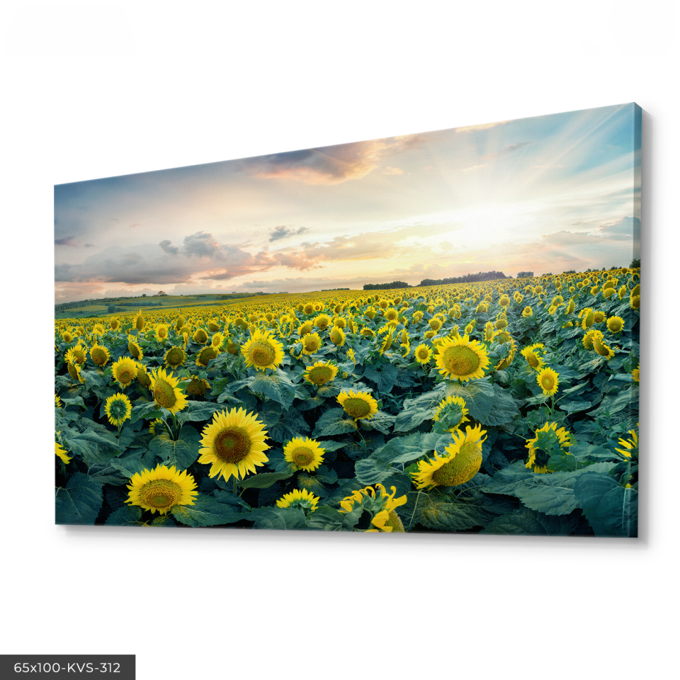 Ayçiçekleri Kanvas - Canvas Tablo