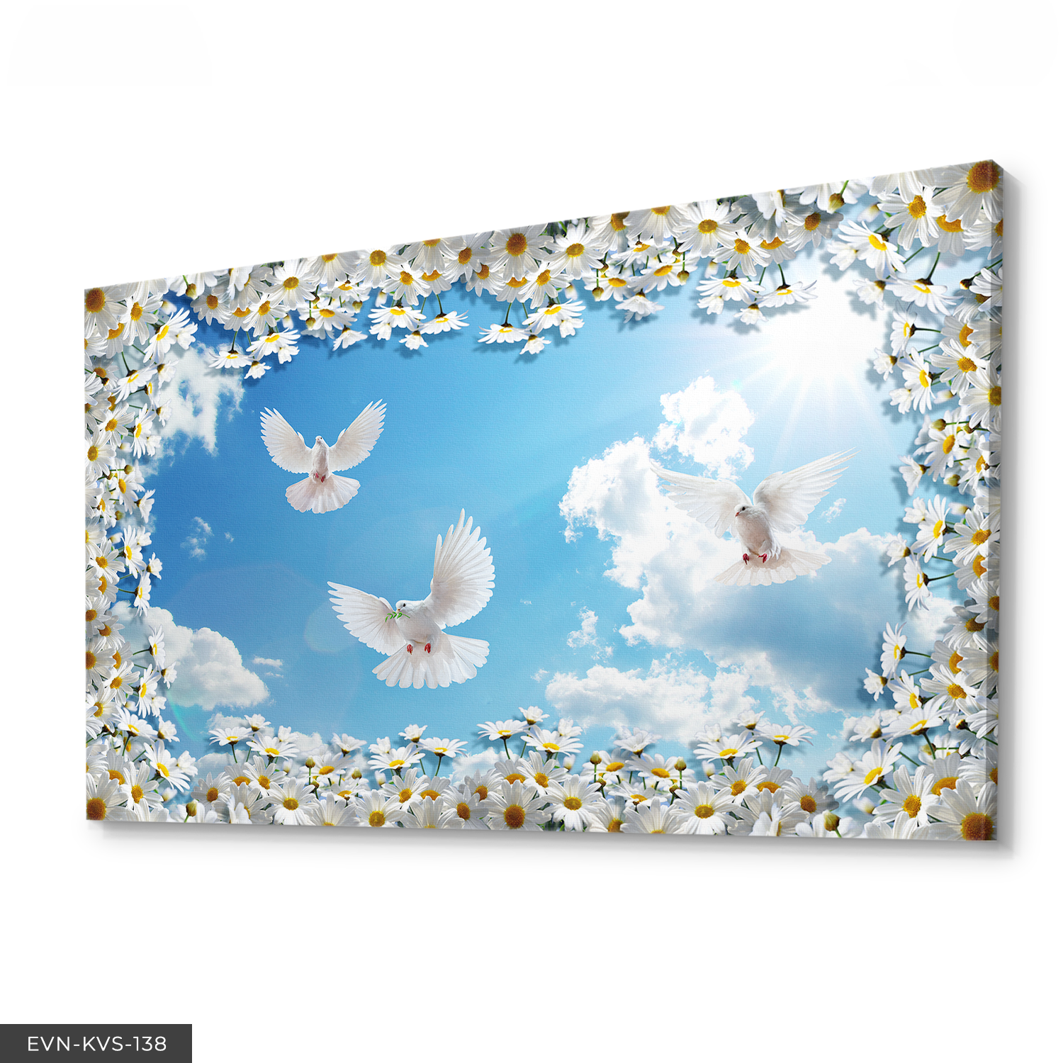 Beyaz Güvercin Tek Parça Kanvas Canvas Tablo Tablo