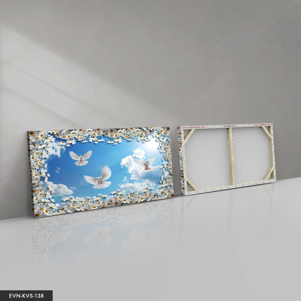 Beyaz Güvercin Tek Parça Kanvas Canvas Tablo Tablo