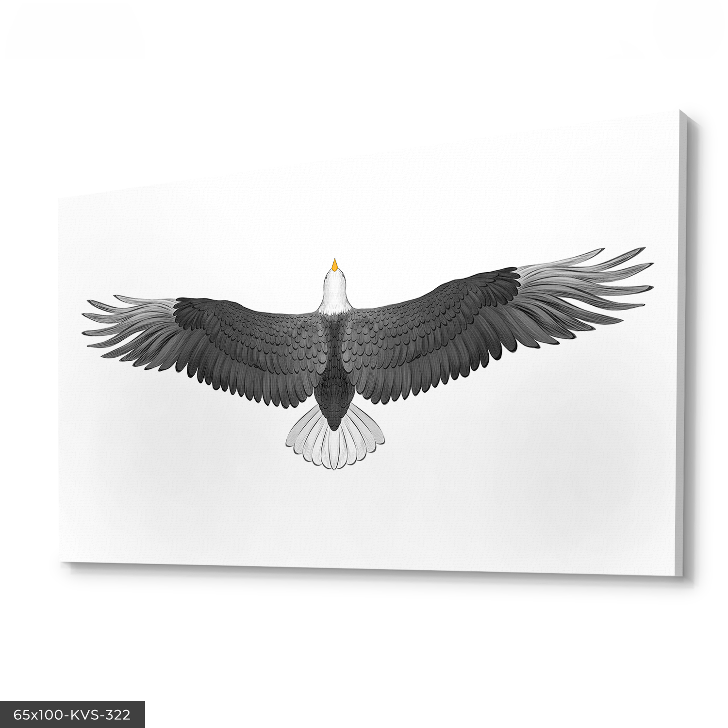 Kartal Kanvas - Canvas Tablo