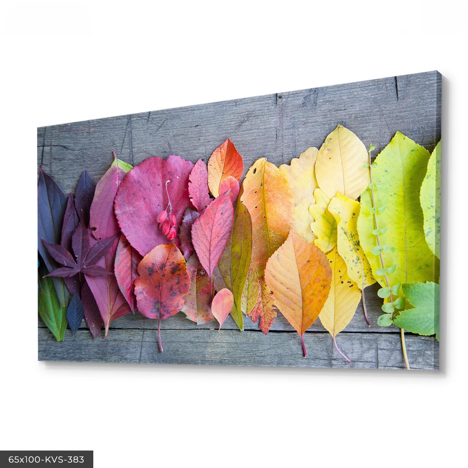 Renkli Yapraklar Kanvas - Canvas Tablo 40 x 30 CM - Çok Renkli