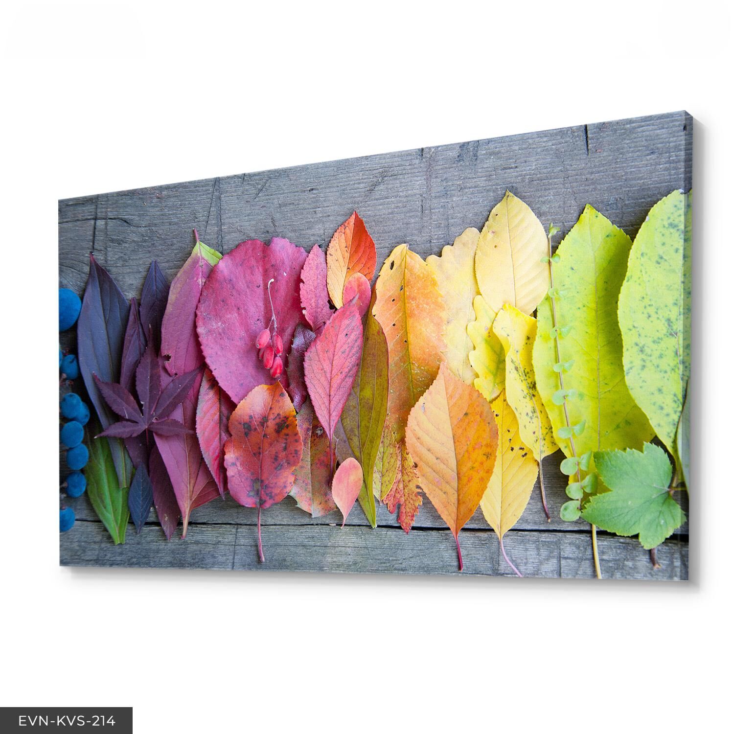 Renkli Yapraklar Tek Parça Kanvas Canvas Tablo Tablo 40 x 30 CM - Çok Renkli