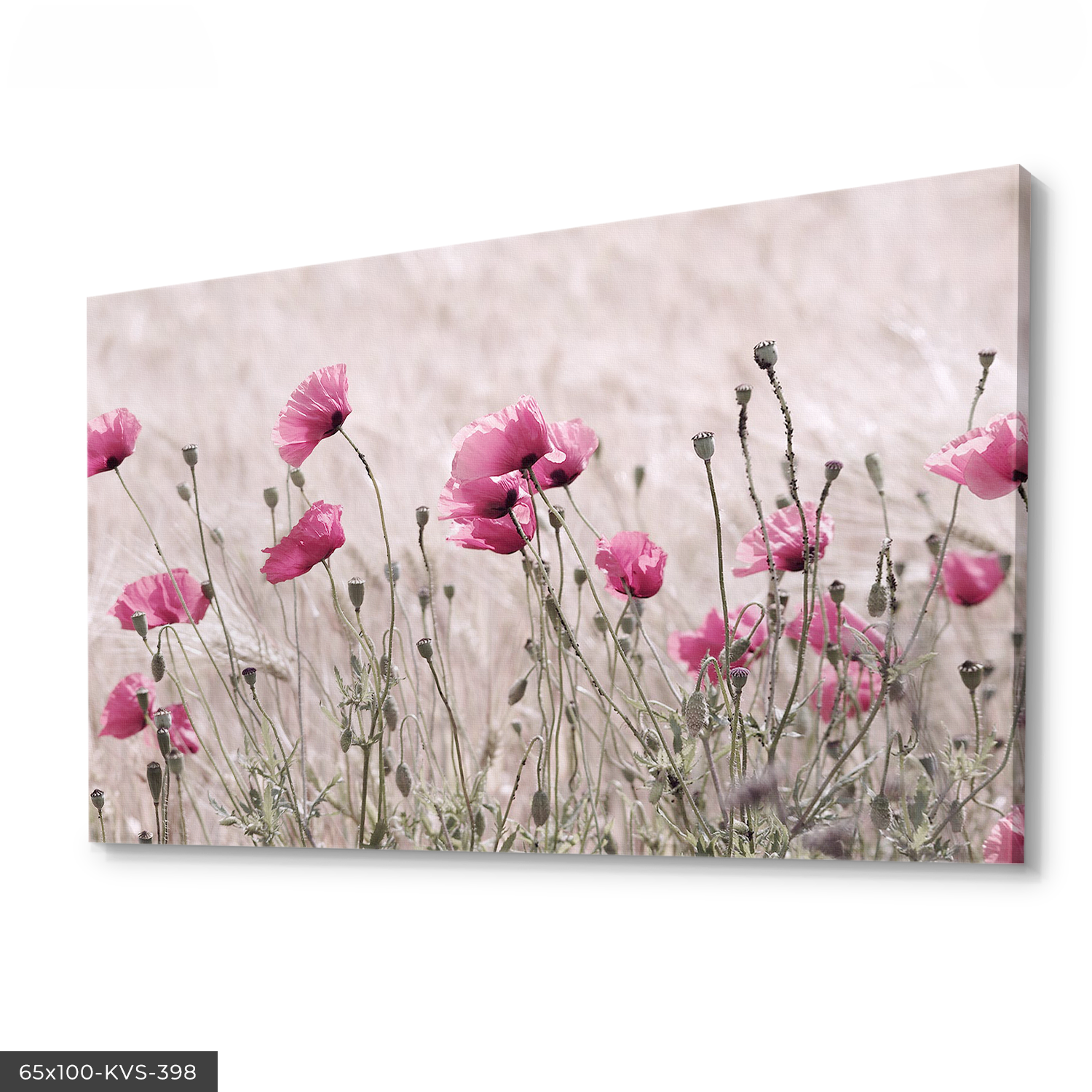 Haşhaş Tarlası Kanvas - Canvas Tablo