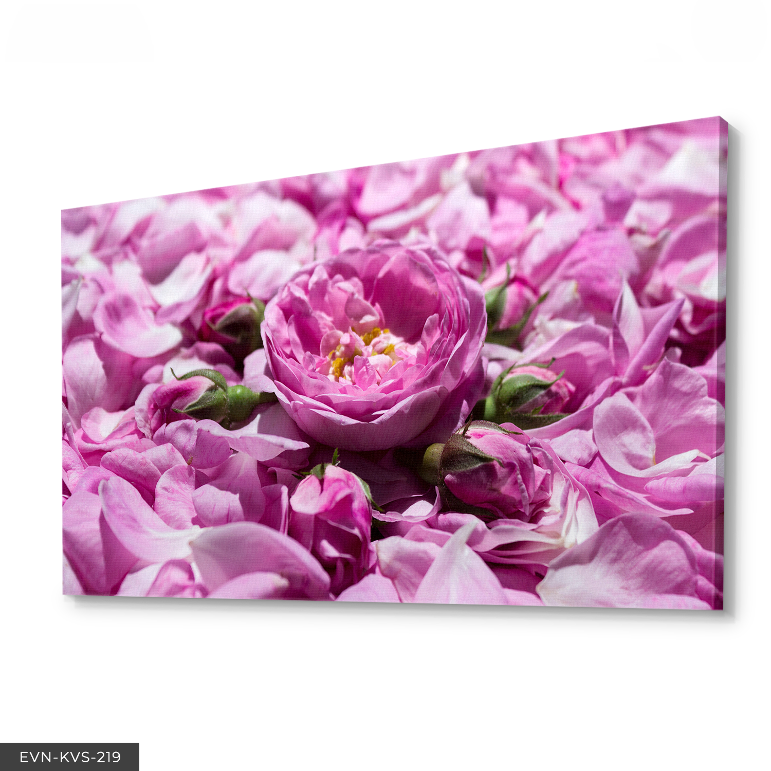 Şakayık Çiçeği Tek Parça Kanvas Canvas Tablo Tablo