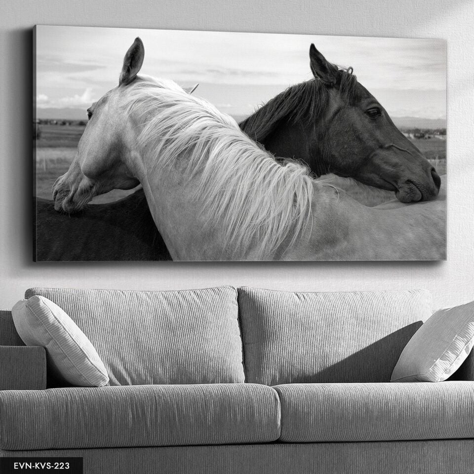 Siyah Beyaz At Tek Parça Kanvas Canvas Tablo Tablo