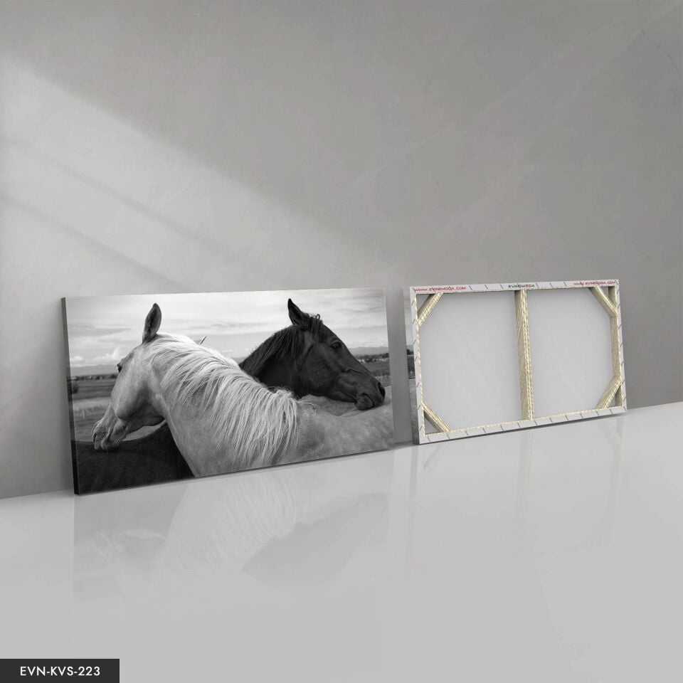 Siyah Beyaz At Tek Parça Kanvas Canvas Tablo Tablo