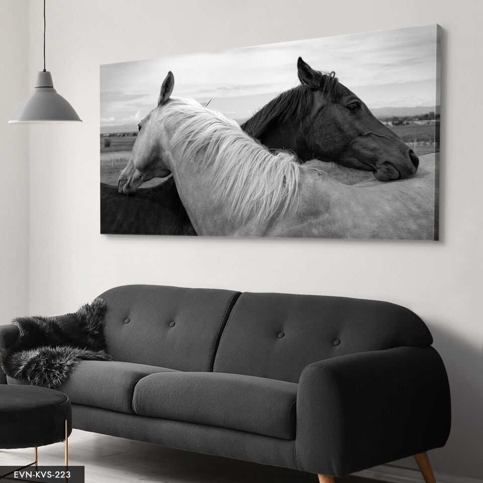 Siyah Beyaz At Tek Parça Kanvas Canvas Tablo Tablo