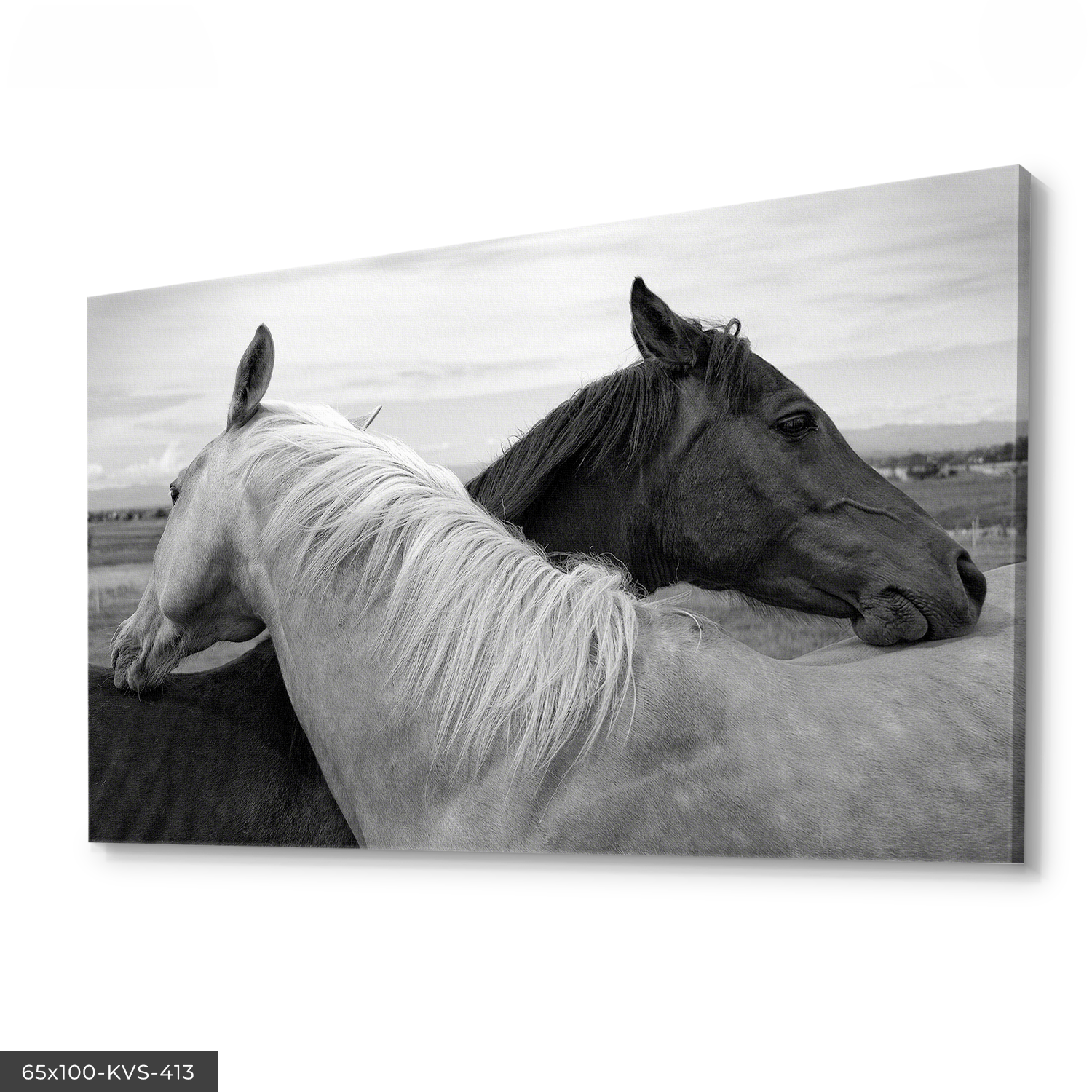 Siyah Beyaz Atlar Kanvas - Canvas Tablo