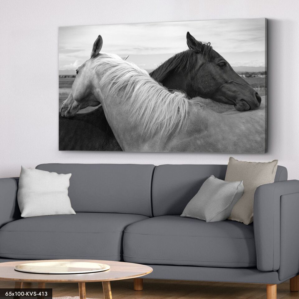 Siyah Beyaz Atlar Kanvas - Canvas Tablo 40 x 30 CM - Çok Renkli