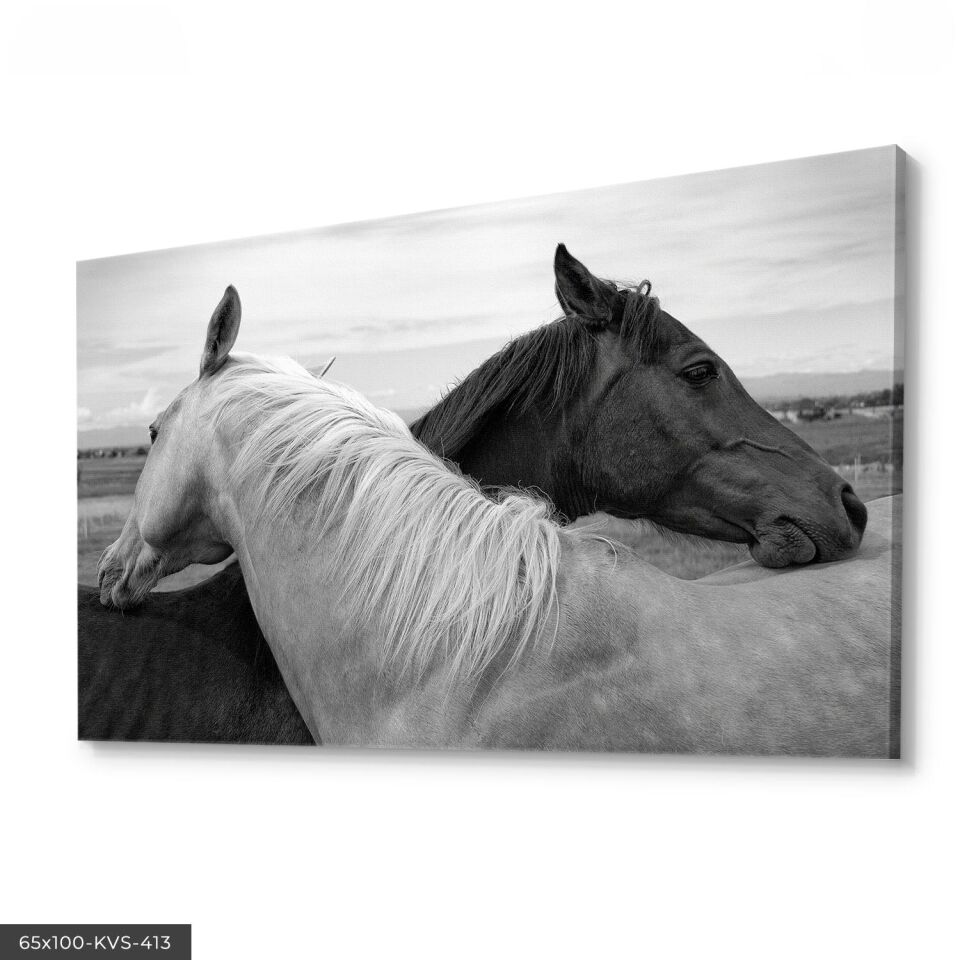 Siyah Beyaz Atlar Kanvas - Canvas Tablo