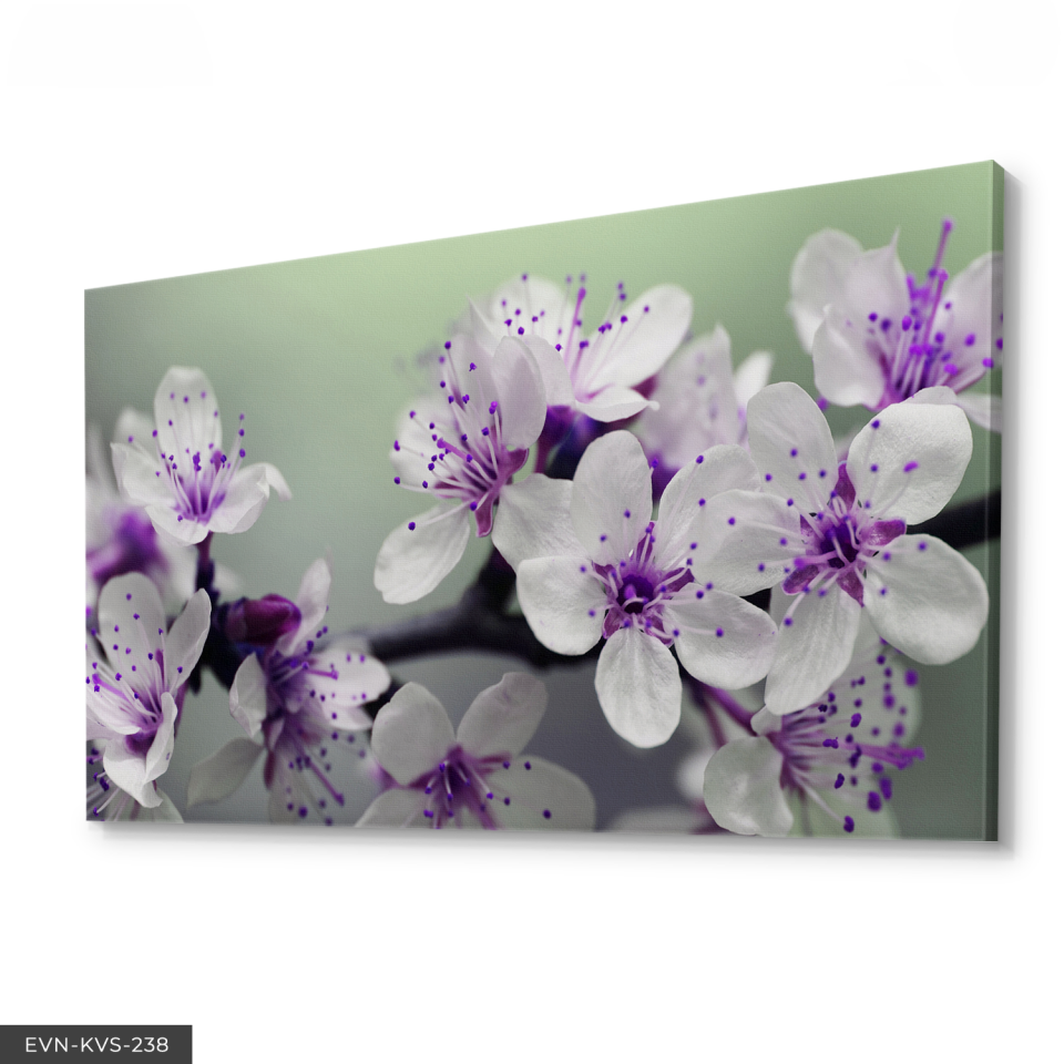 Çiçek Tek Parça Kanvas Canvas Tablo