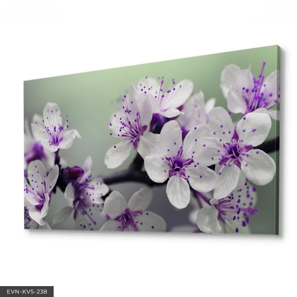 Çiçek Tek Parça Kanvas Canvas Tablo