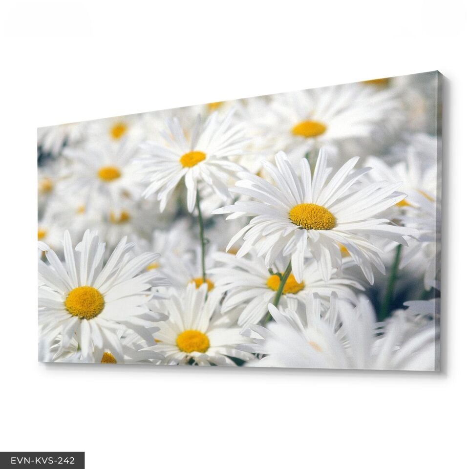 Papatya Tek Parça Kanvas Canvas Tablo 140 x 90 CM - Çok Renkli