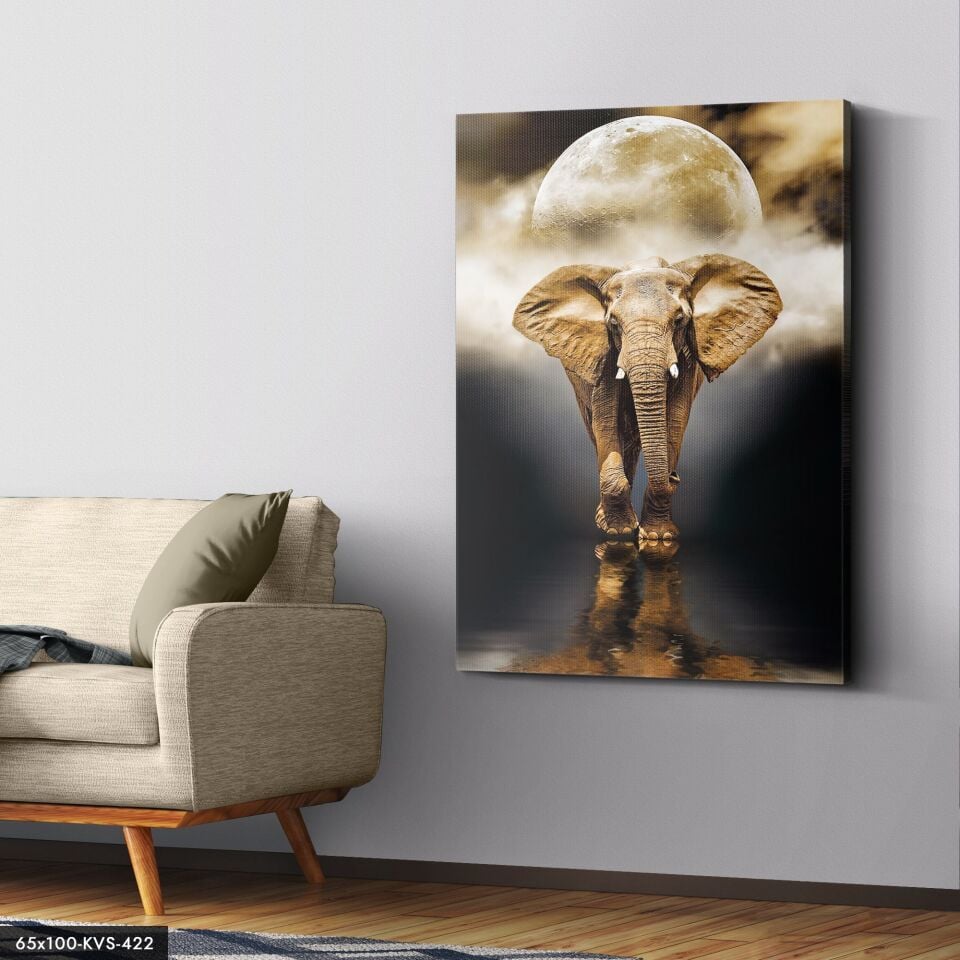 Fil Kanvas - Canvas Tablo 40 x 30 CM - Çok Renkli