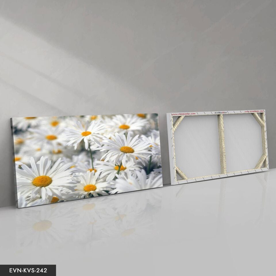 Papatya Tek Parça Kanvas Canvas Tablo 40 x 30 CM - Çok Renkli